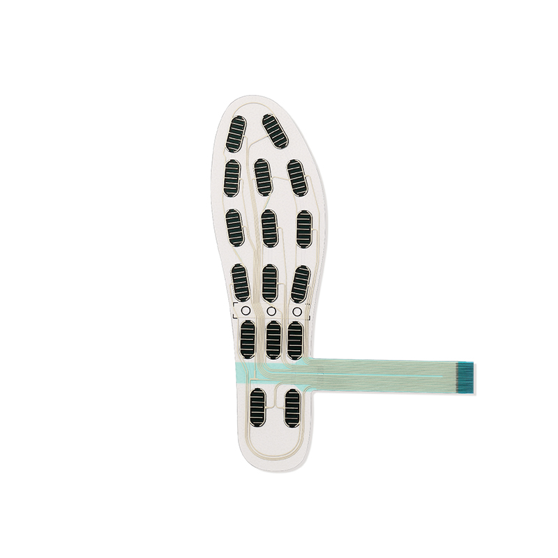 FS-INS-16Z Legact Wearable Sma – Smart Insole Pressure Bewertung und Preis